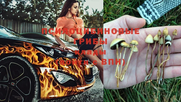 ешки Алексин