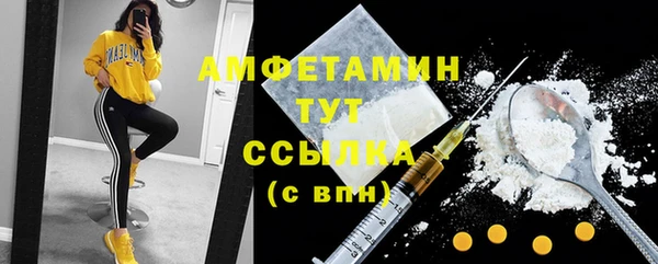 ешки Алексин